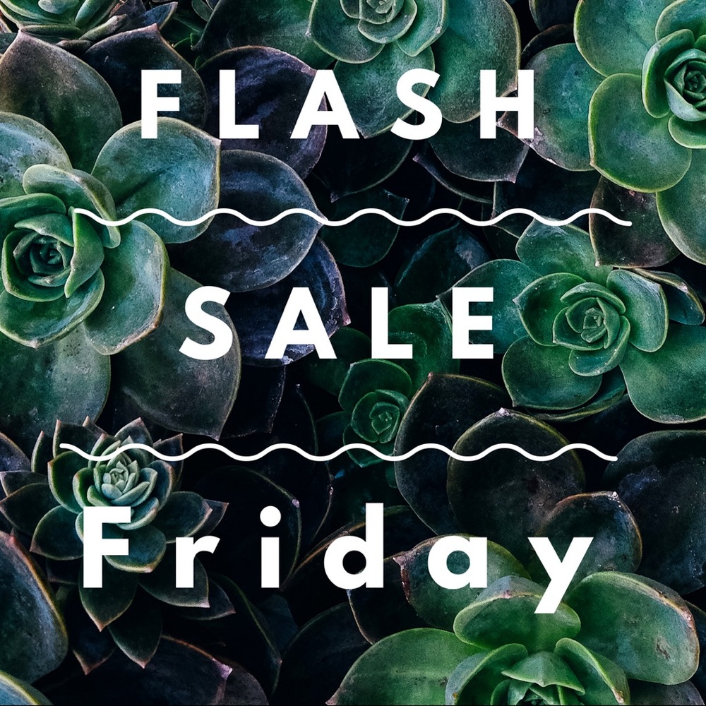 Sale Today Only!